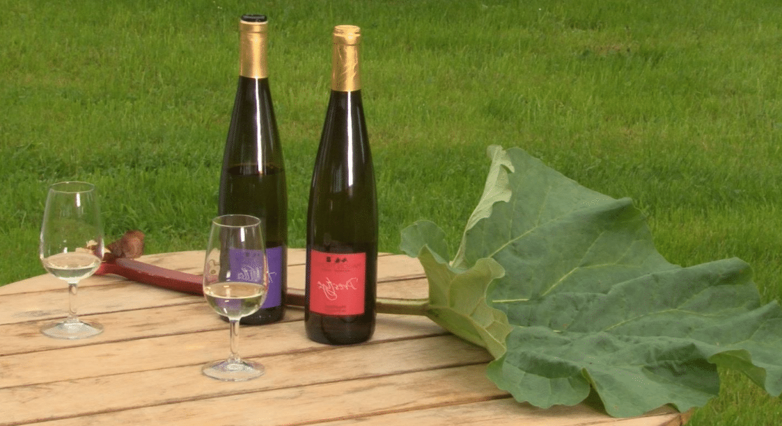 Le Vin de Rhubarbe : Un Goût Unique et Délicieux