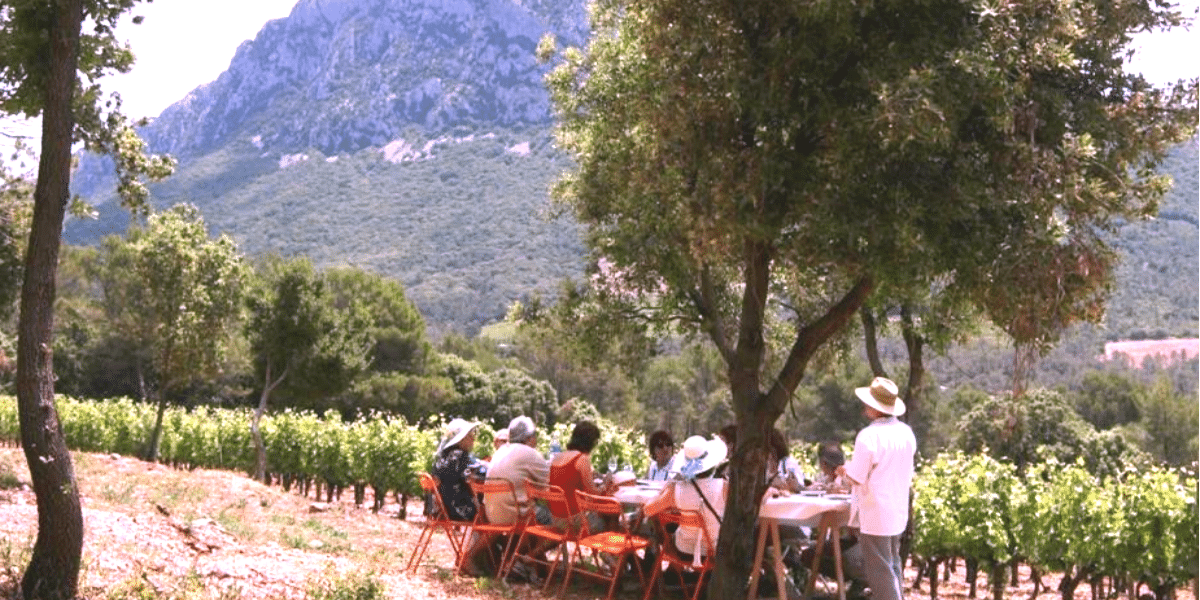 AOC Pic Saint-Loup