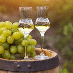 L'art de déguster l'eau-de-vie Grappa
