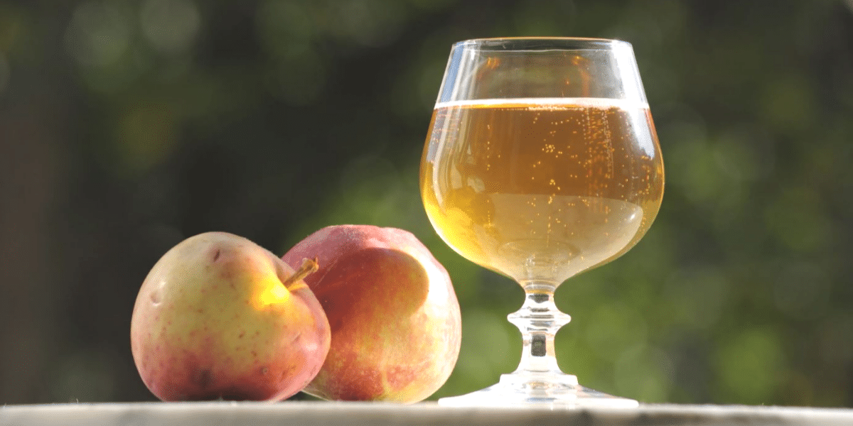 Faire du cidre à la maison : le guide pour réussir votre propre cidre artisanal