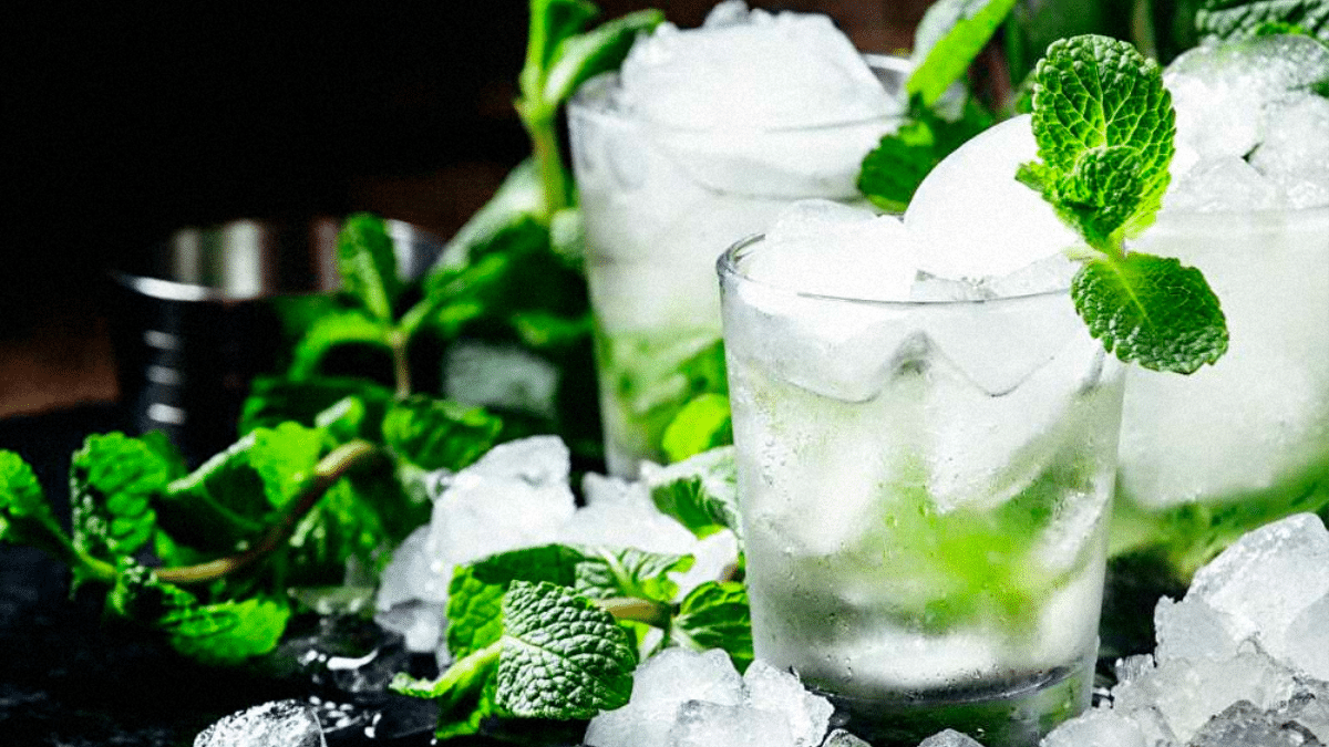 La magie de la menthe glaciale dans vos cocktails