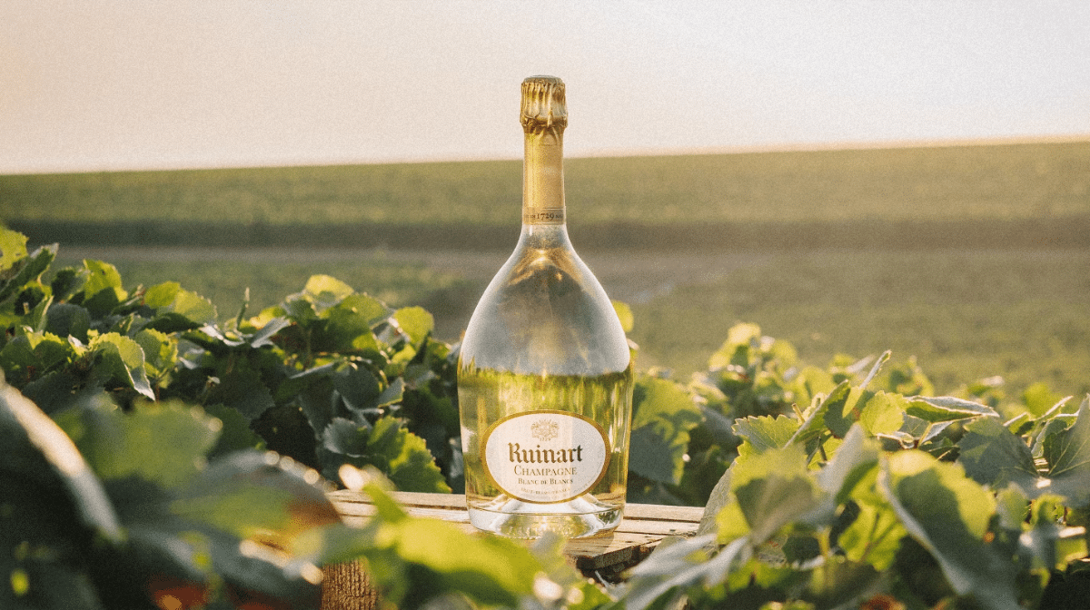 Découvrez le Ruinart Blanc de Blancs, un champagne d'exception