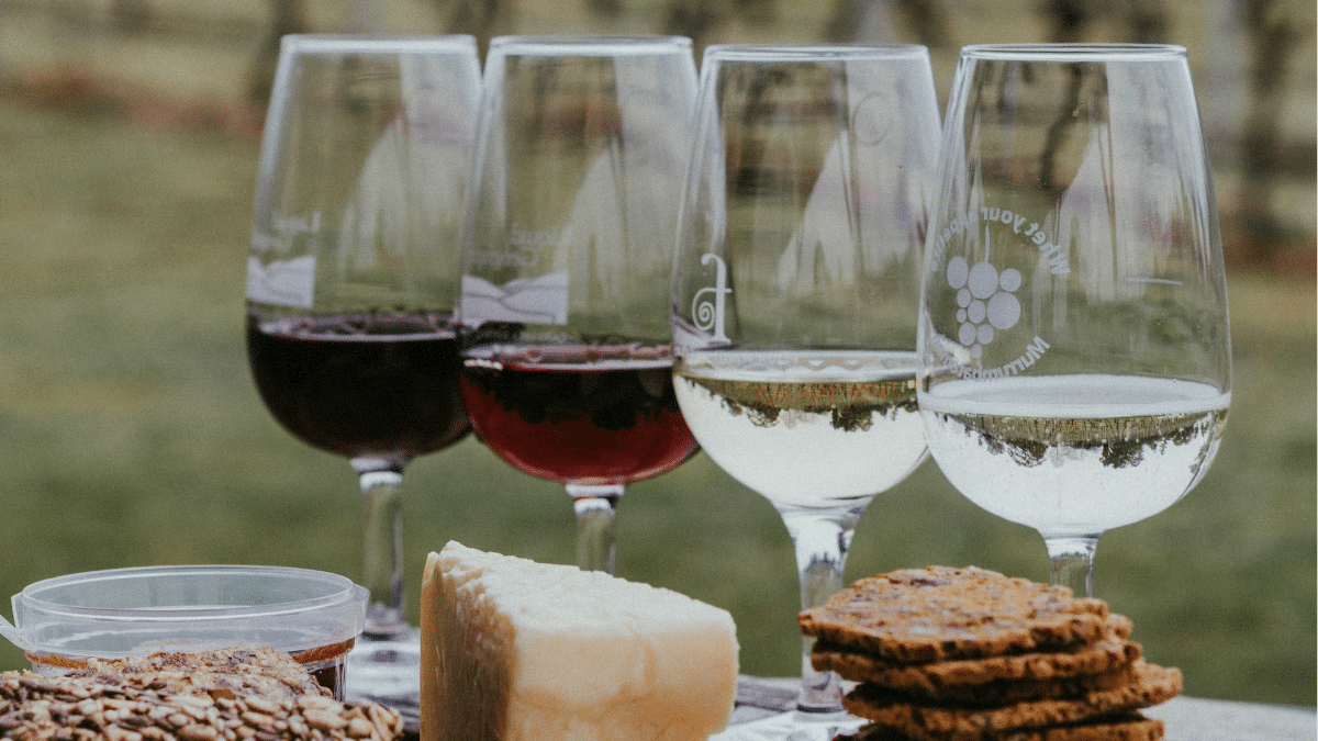 Le vin le plus cher du monde : histoire, caractéristiques et record mondial