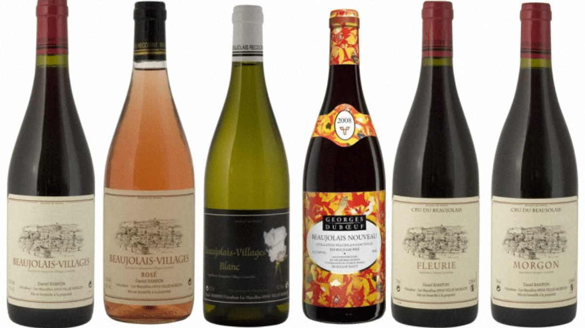 Découverte des merveilles des Vins du Beaujolais