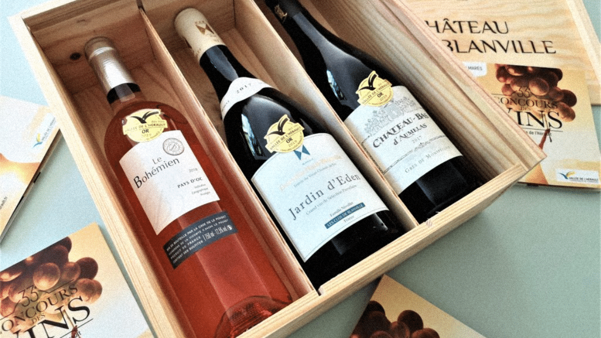 Découverte des vins de l'Hérault : un voyage riche en saveurs