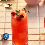 Le cocktail Sea Breeze