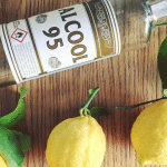 Tout savoir sur la liqueur et l'alcool 90° pour fruits