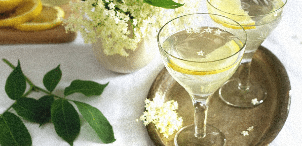 La liqueur de fleur de sureau : un élixir floral et raffiné