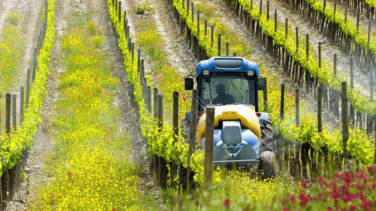 La maintenance du matériel viticole : un élément crucial pour les vendanges