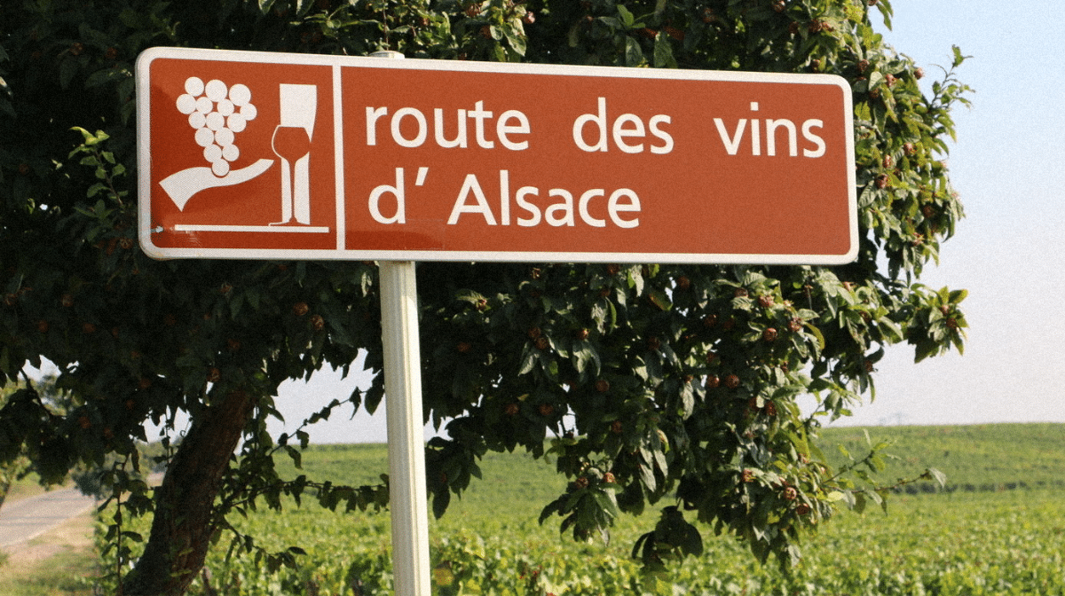 Découverte de la Route des Vins d'Alsace : une expérience inoubliable