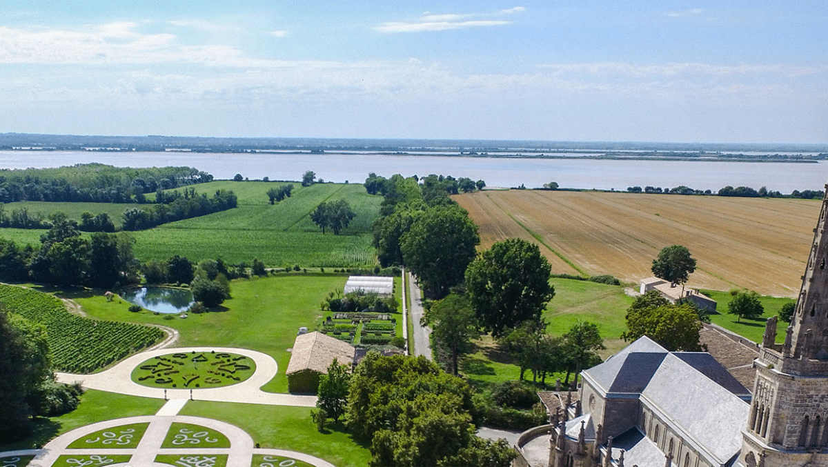 Le Château Léoville Las Cases et ses accords mets et vins