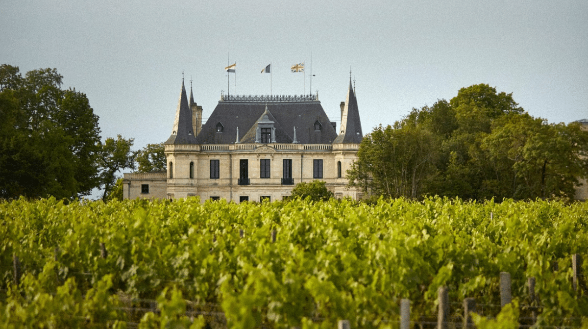 Le Château Palmer et ses vins