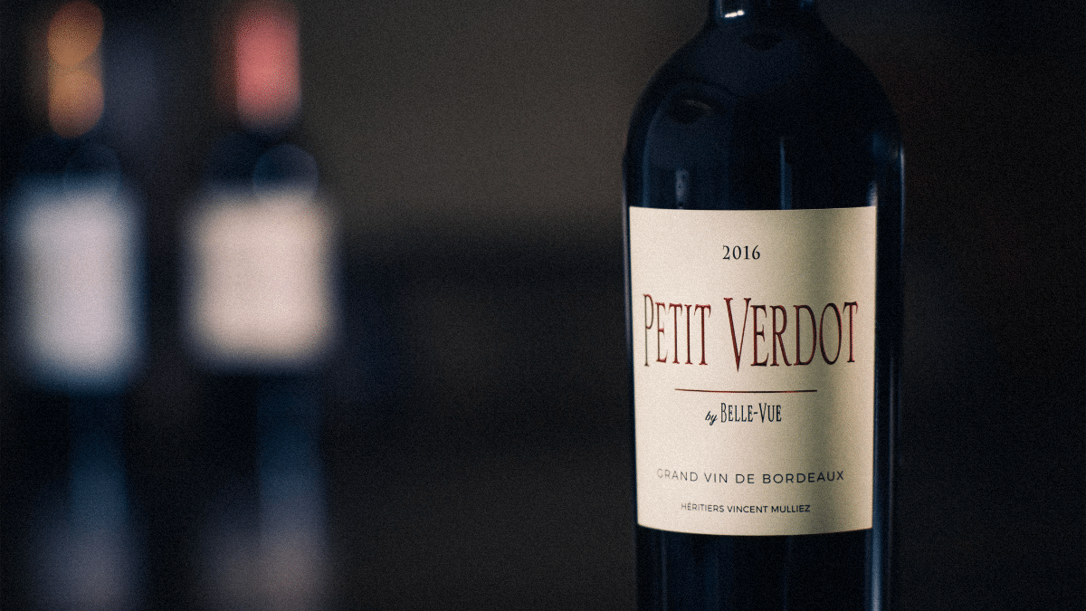 Le Petit Verdot