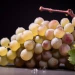Le Pinot Blanc