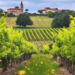 Vins de Bordeaux