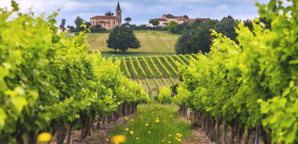 Vins de Bordeaux