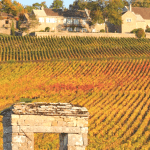 Découvrez les Vins de Bourgogne