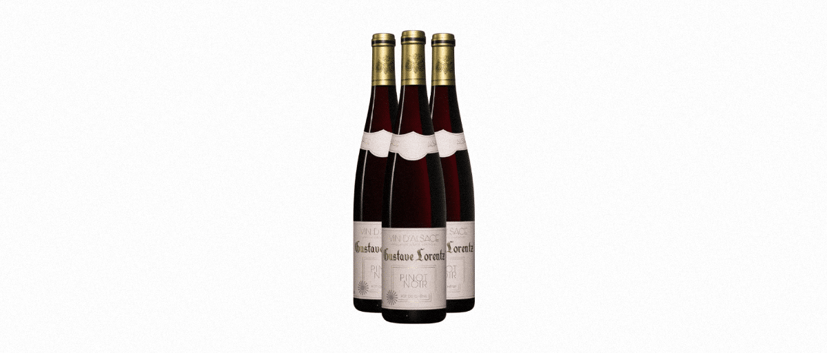 Le Pinot Noir d'Alsace