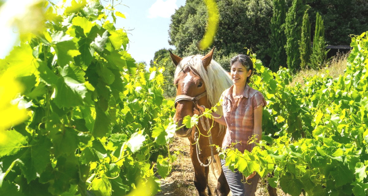 Le domaine Mas de Libian en Ardèche