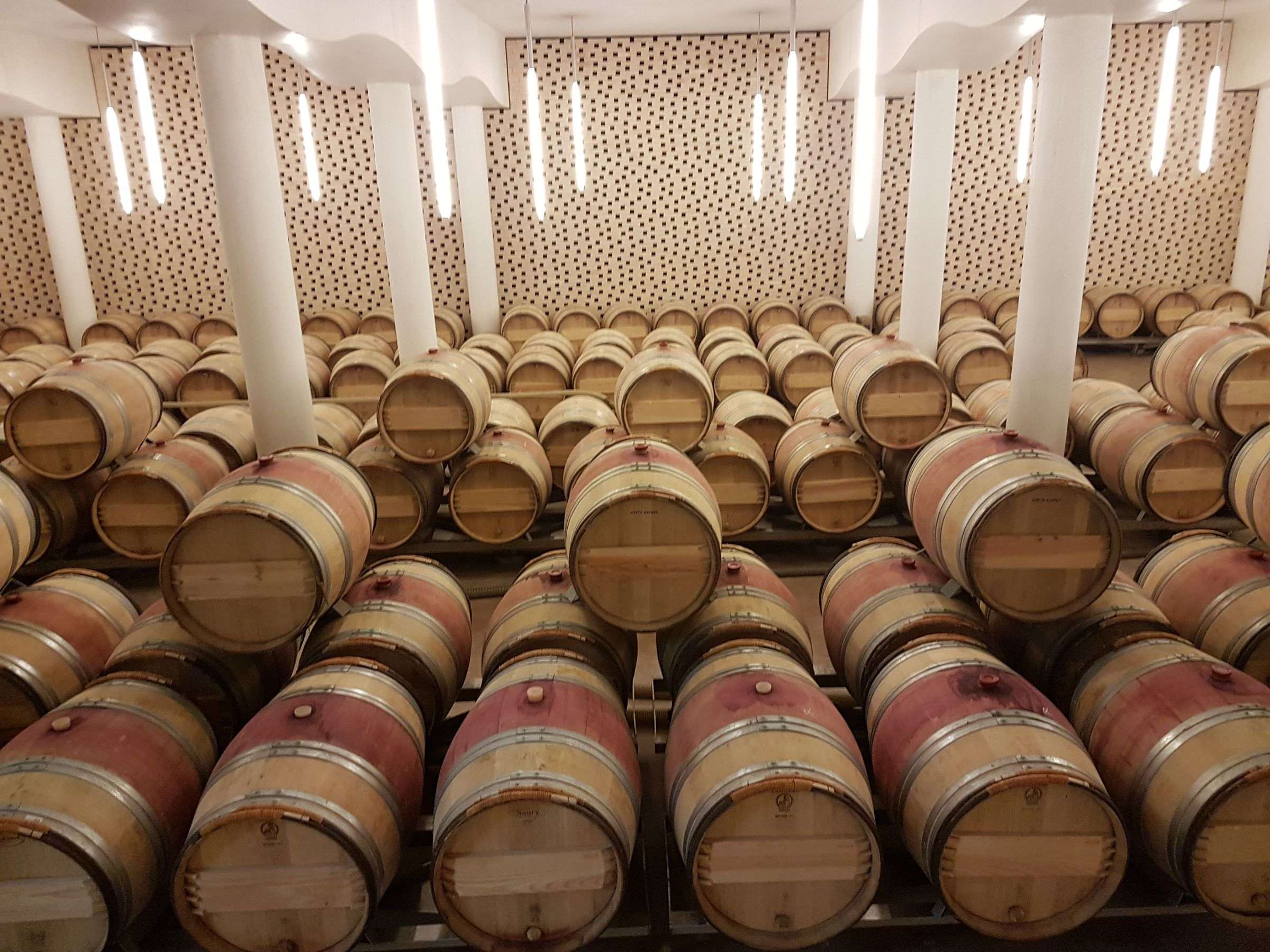 Cave à vin : La Cave à Vin à Deux Portes : Un Must-Have pour les Amateurs de Vin