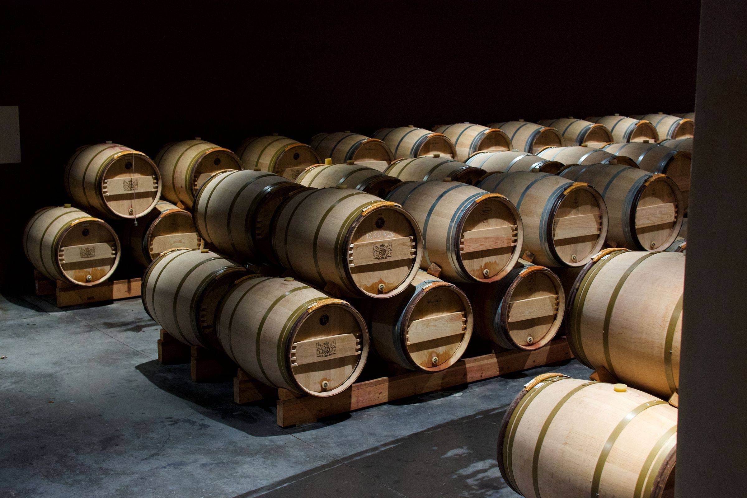 Cave à vin : Caves à vin Caviss : produits de qualité pour grands amateurs de vin