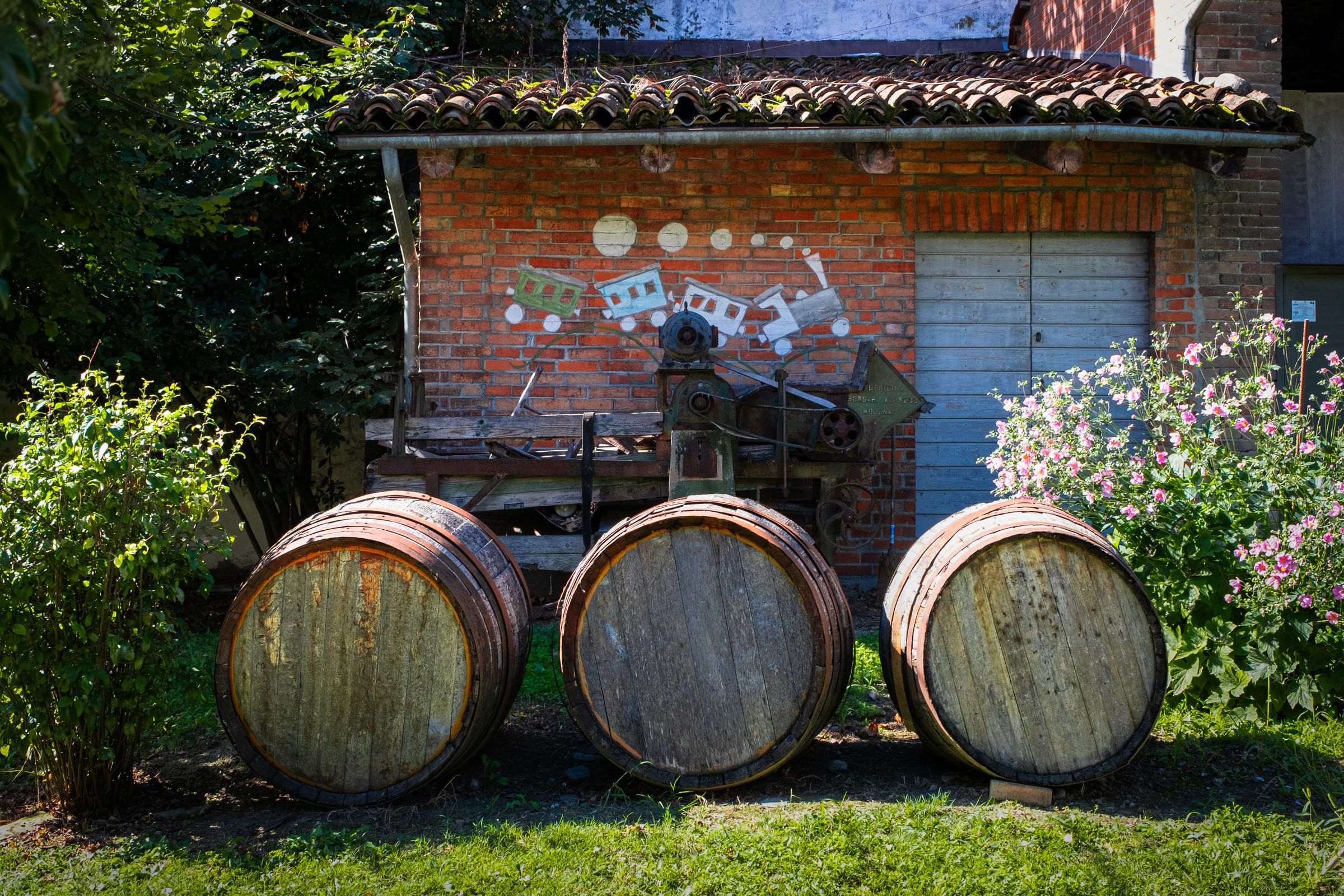 Cave à vin : Comment choisir une cave à vin blanc pour ses besoins ?