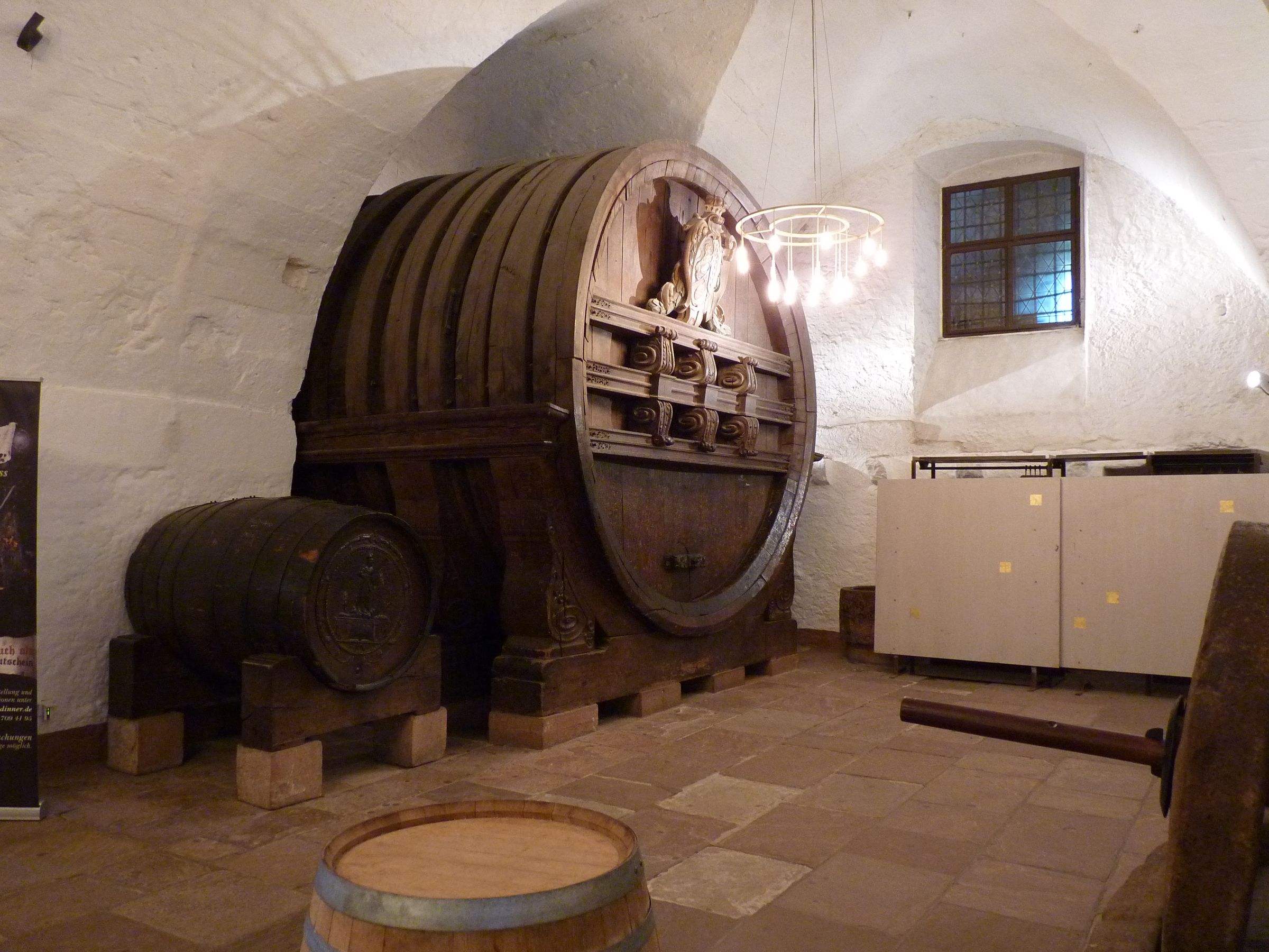 Cave à vin : Comment choisir sa cave à vin de cuisine ?