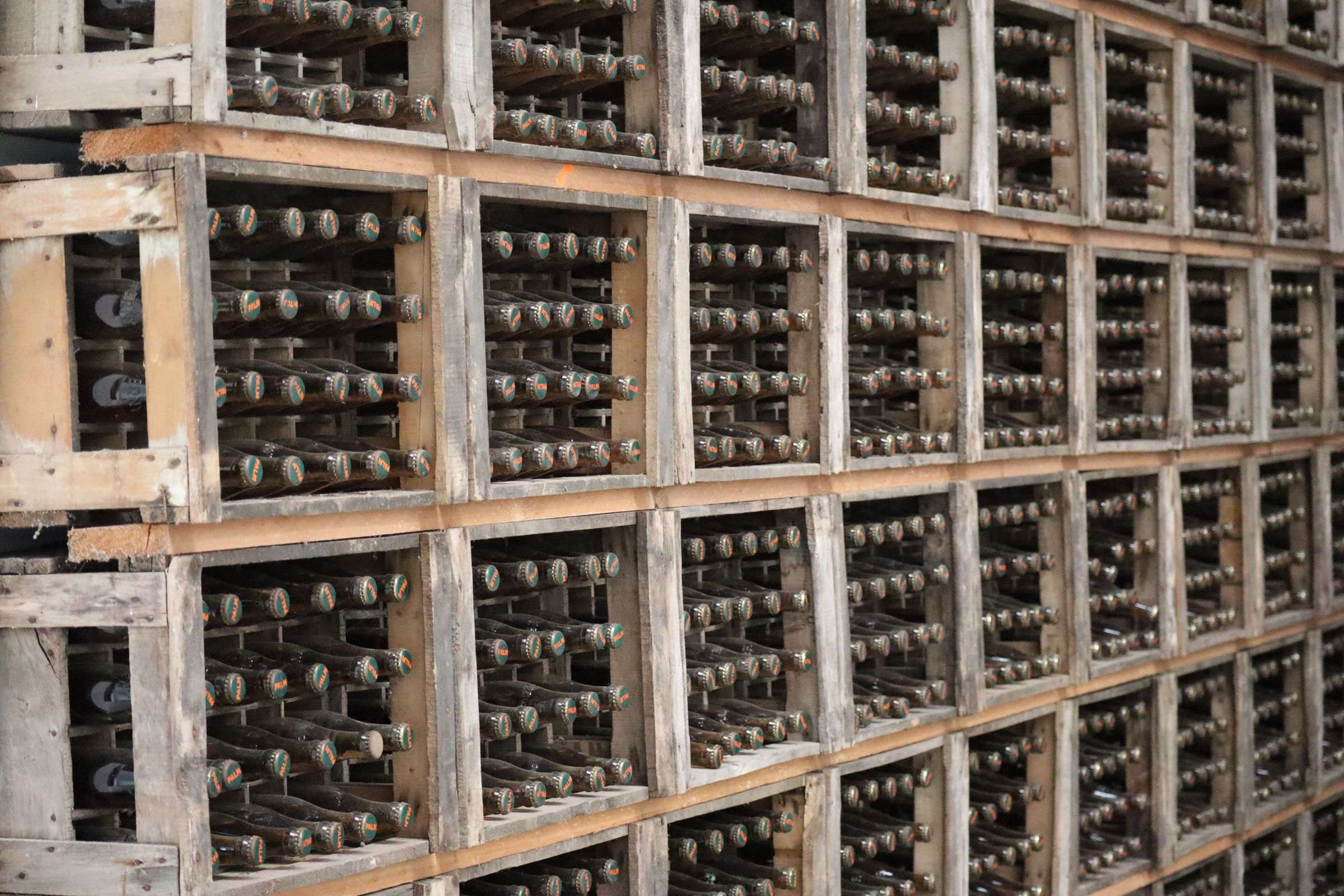 Cave à vin : Le meilleur choix pour une cave à vin 10 bouteilles