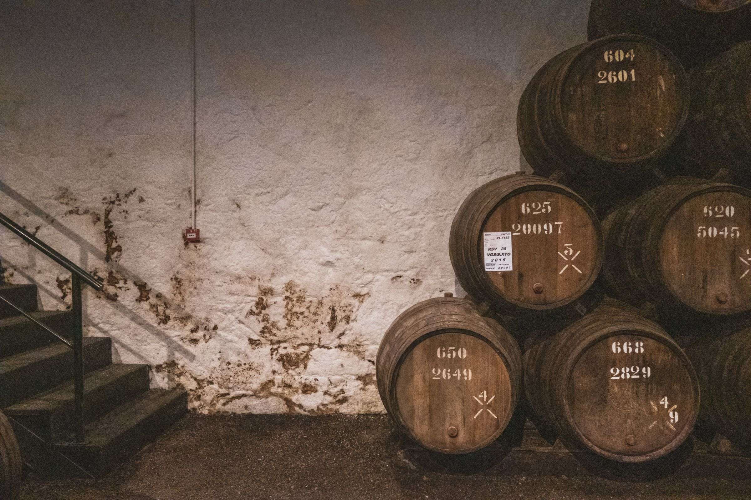 Cave à vin : Tout savoir sur la cave à vin rouge