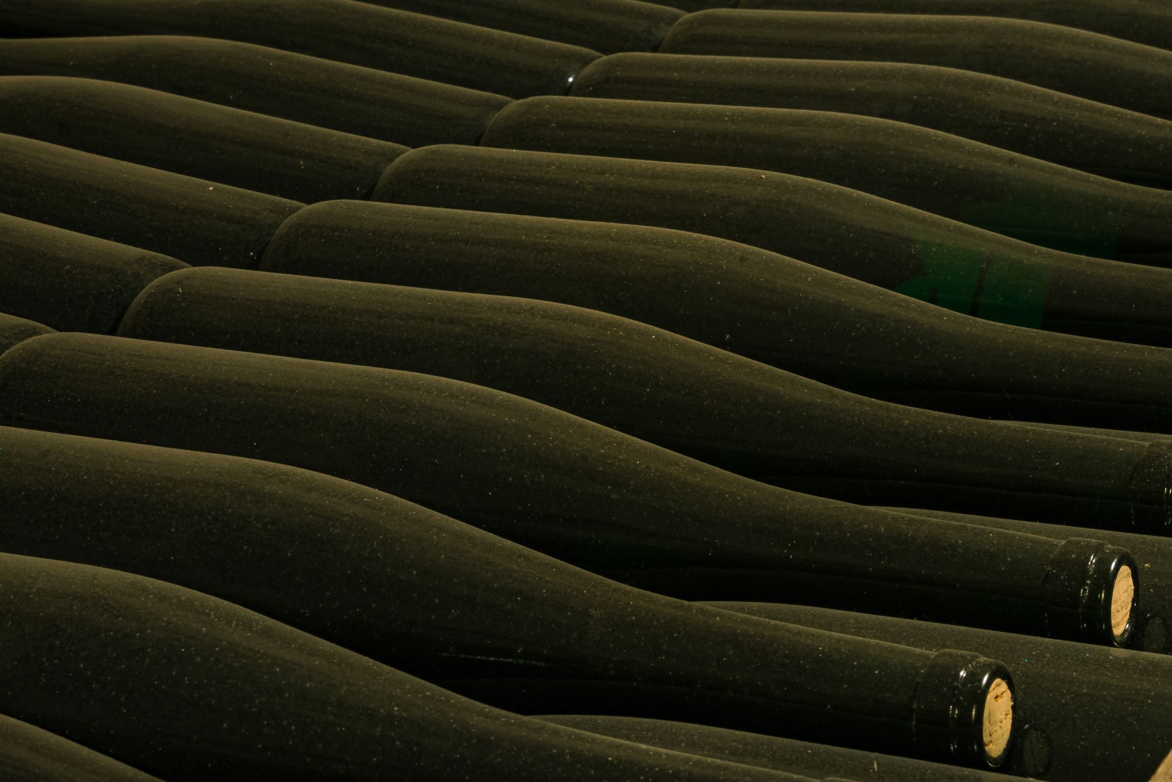 Cave à vin : Tout ce que vous devez savoir sur les caves à champagne