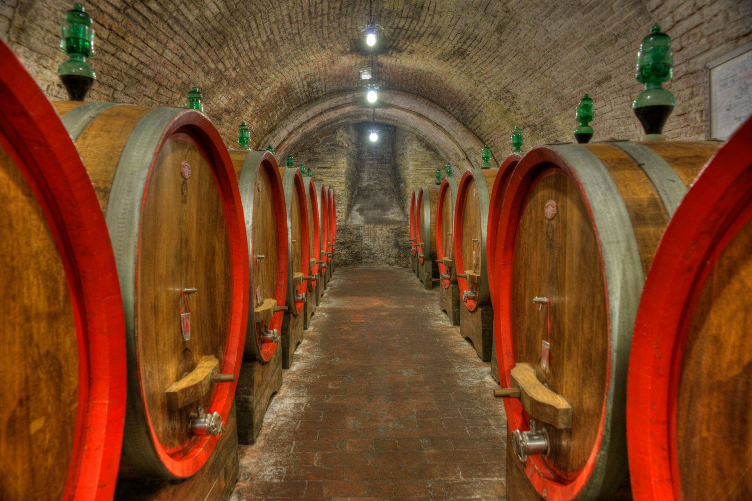 Cave à vin : Trouver la bonne cave à vin pour votre service